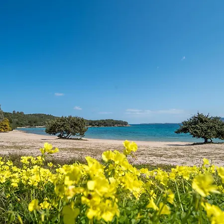 Corallo 公寓 帕劳